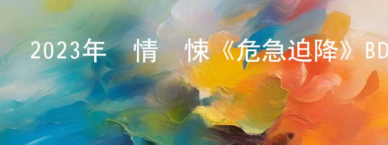 陳書寧發布2023年劇情驚悚《危急迫降》BD中英雙字迅雷下載_深夜電影